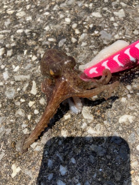 ⭐︎Are you read…