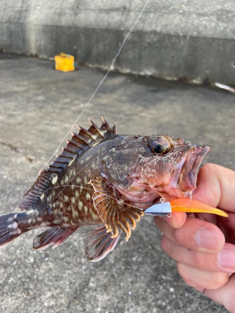 トレジャーハント