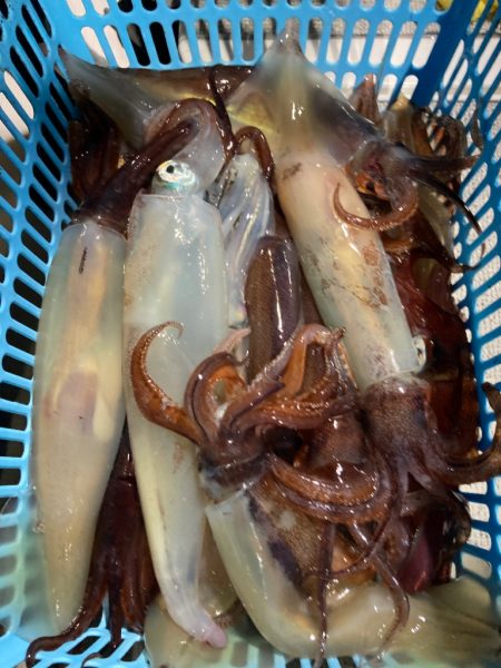 ２６日マイカ半夜便