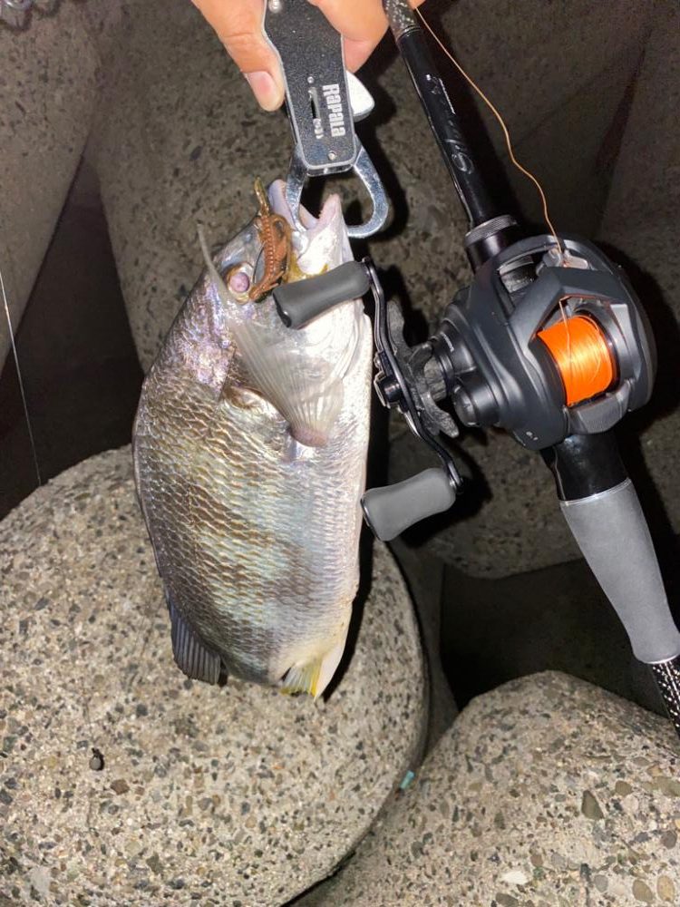 爆風でチニング半袖だと^_^ 寒すぎ