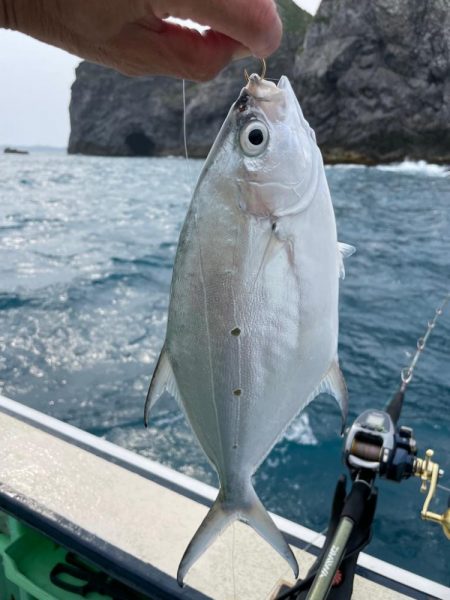 新島、五目釣り