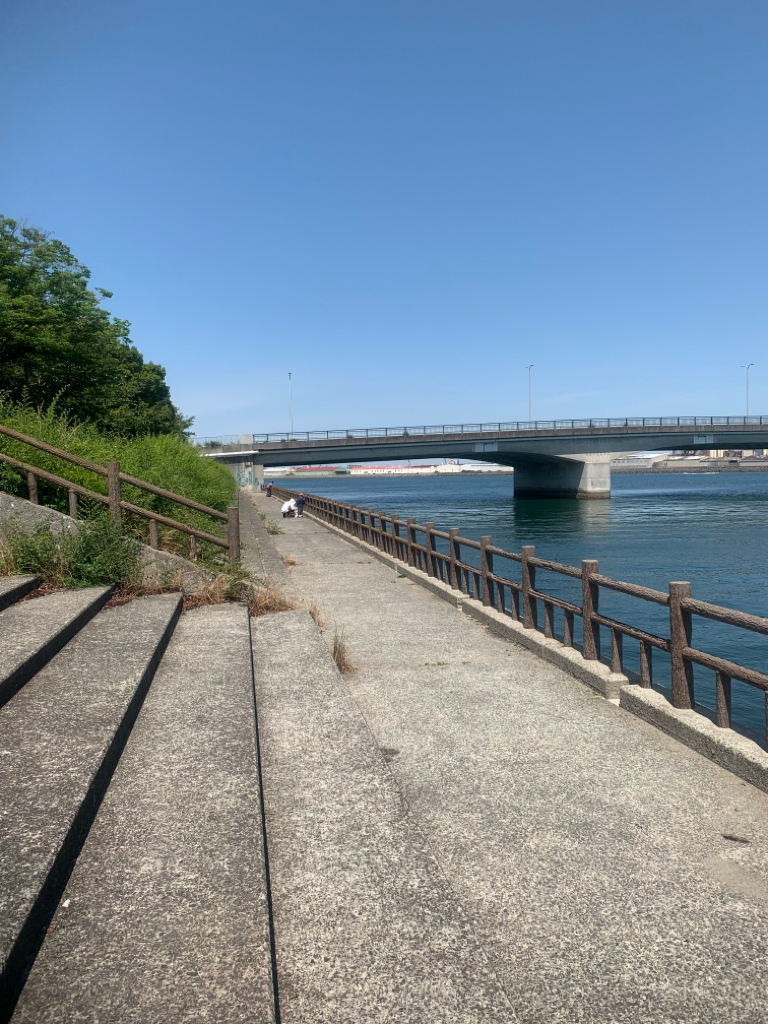 タコが食べたい！