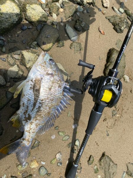 カフェオレの濁りチニング