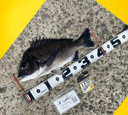 諦めず場所移動