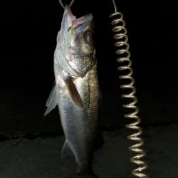 ま、まさかの？！