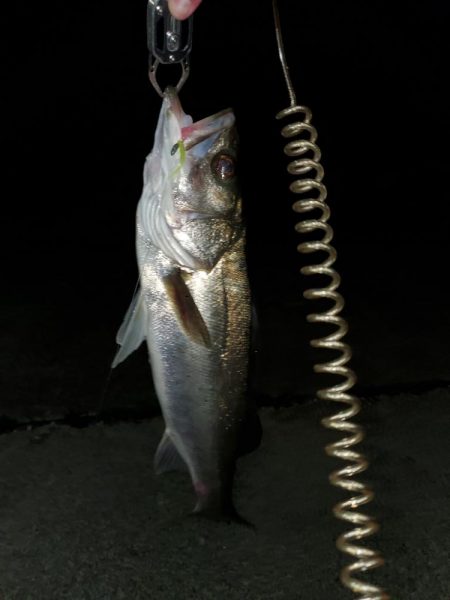 ま、まさかの？！