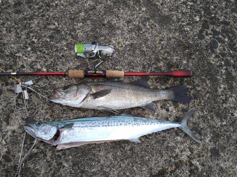 堤防とサーフで三目