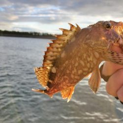 もうちょっとで(>_<)