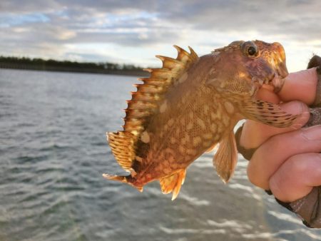 もうちょっとで(>_<)