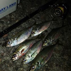 フロートゲーム