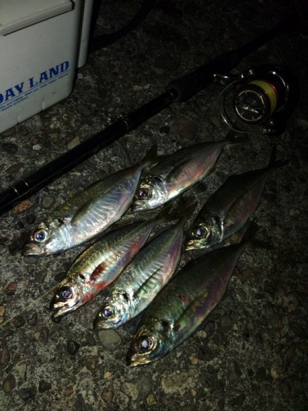 フロートゲーム