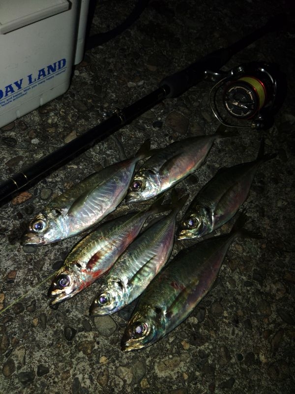 フロートゲーム