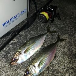 (泣尺アジ)フロートゲーム～