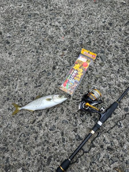 虫エサでカサゴ狙い☆