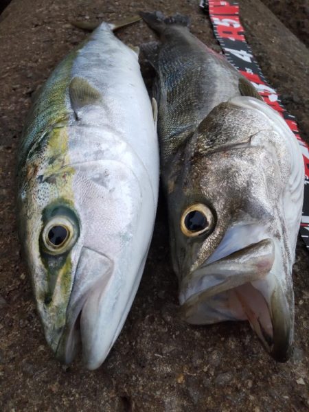 ショアプラッキング