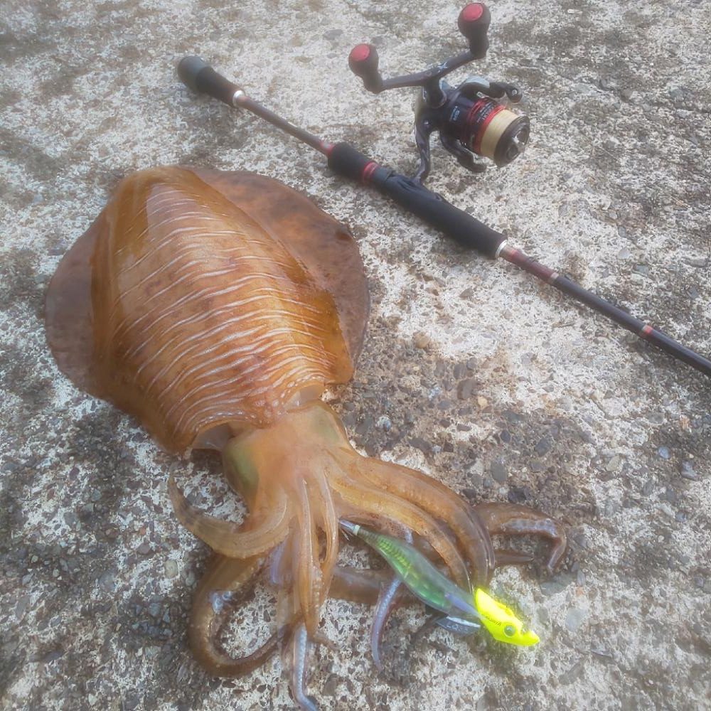 ギュィンギュィン、ジーー