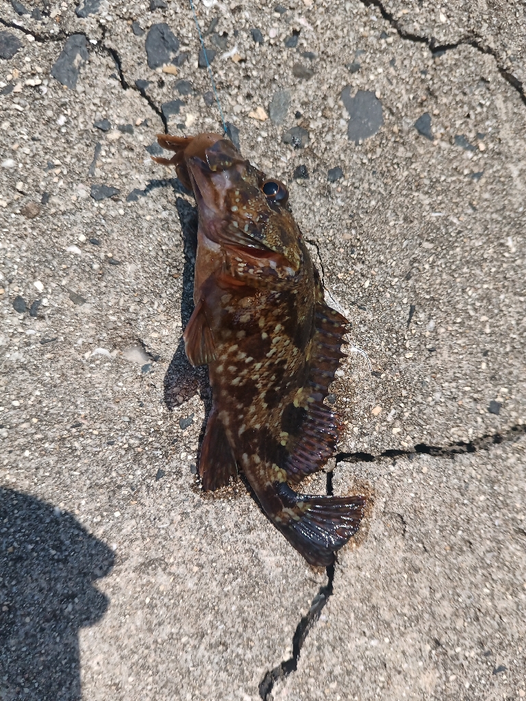 デイチニング開始迄の時間潰しに