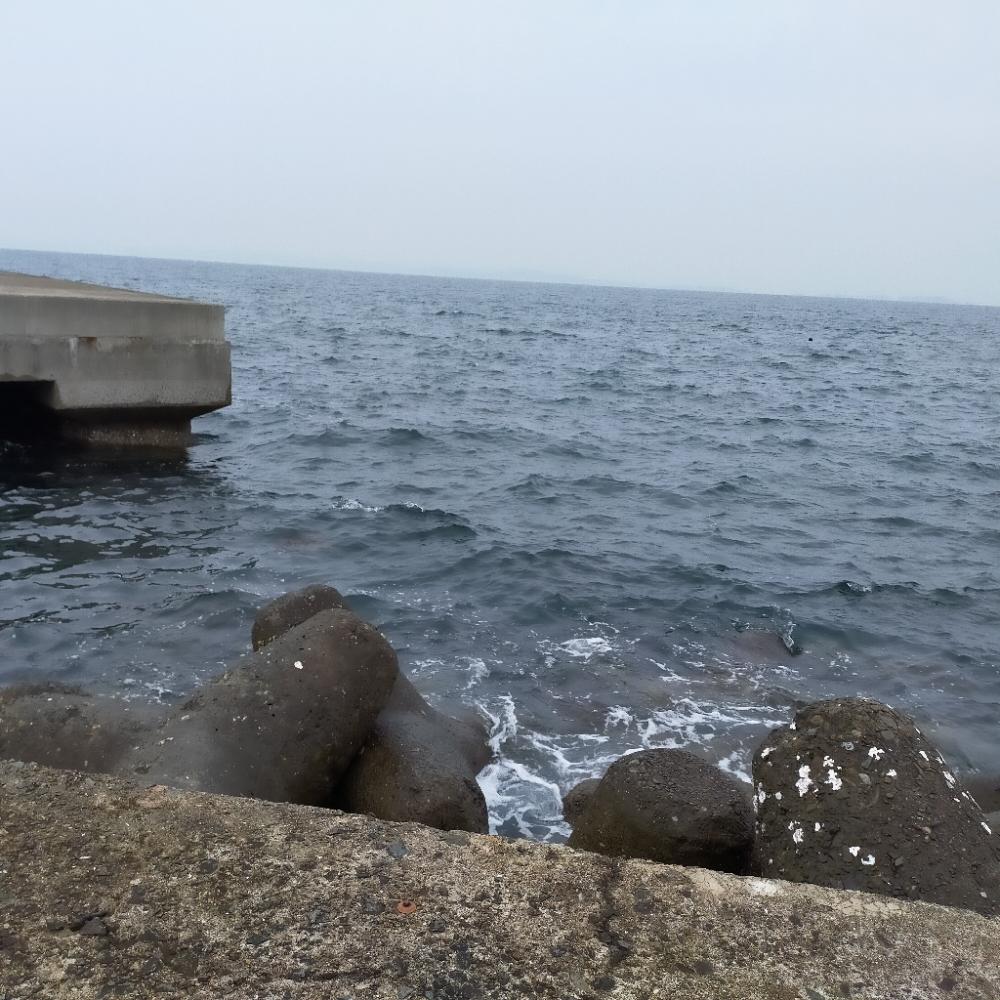 淡路島波止釣り　渋かった。。。