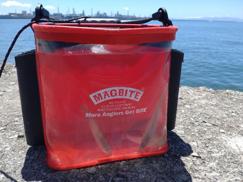 猛暑のキス釣り