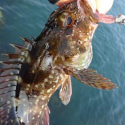 岬町ライトゲーム2