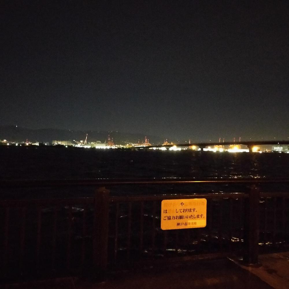 ウキ釣り練習 夜釣り