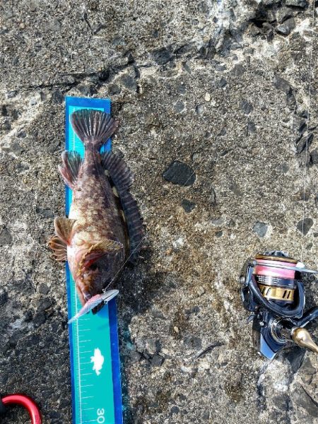 オンスタックルさんのイベント参加