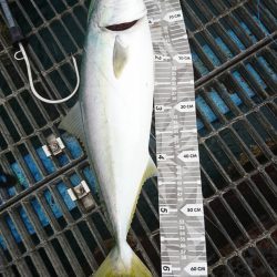 先週のリベンジ釣行!ブリクラスじゃ無かったけれど…