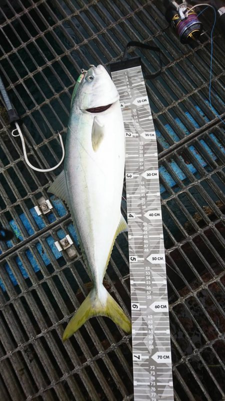 先週のリベンジ釣行！ブリクラスじゃ無かった…