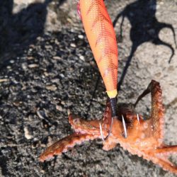 オクトパッシング