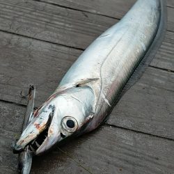 長い一日の終わりに