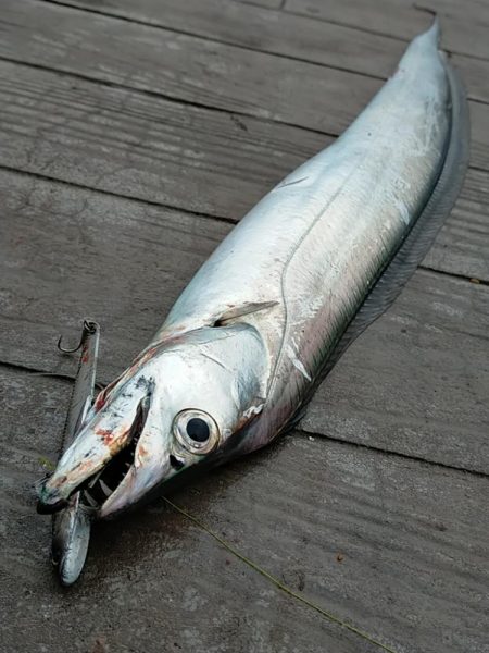 長い一日の終わりに