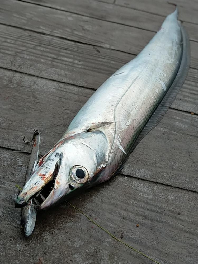 長い一日の終わりに