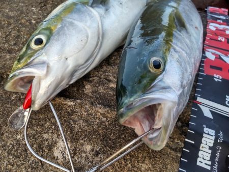 ショアプラッキング