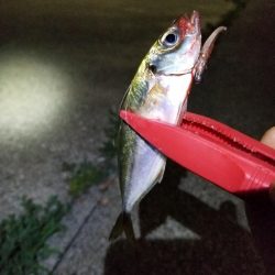 いつもの場所で