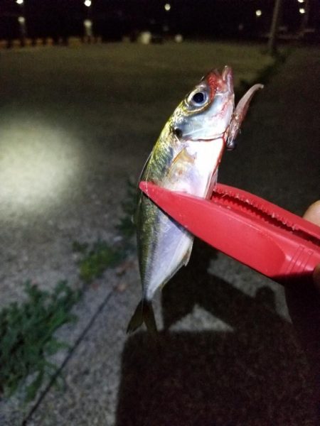 いつもの場所で