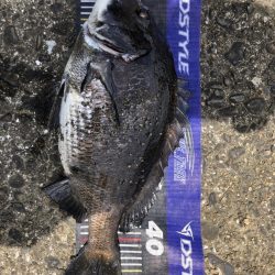 イチノ兄弟、釣果!