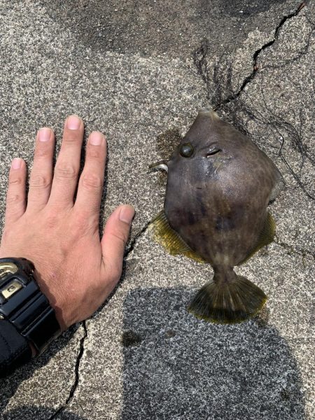 キス釣り中の来客