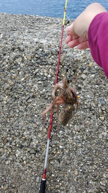 今年は当たり年？？