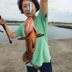 100均のルアーでキジハタ