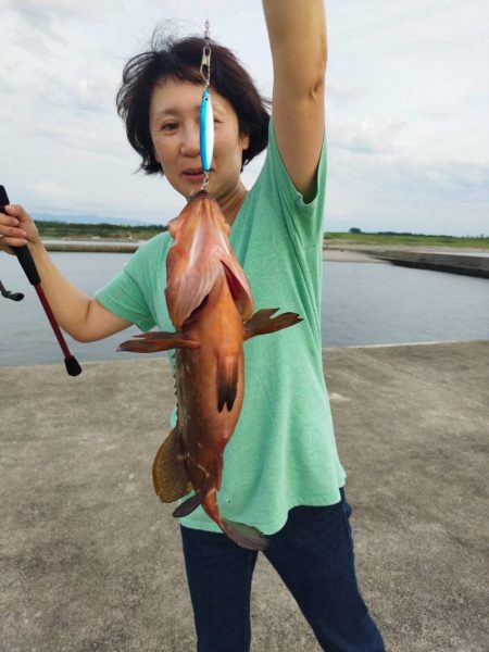 100均のルアーでキジハタ