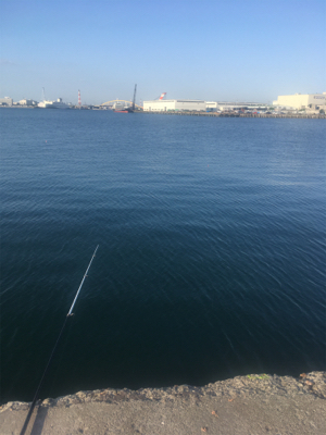 夕マヅメにアジ