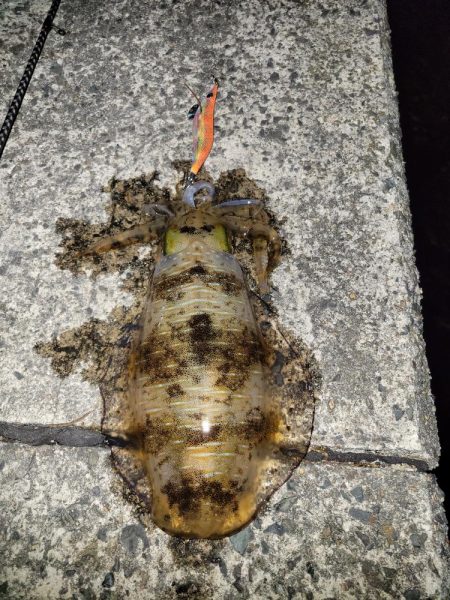 日が沈んでから