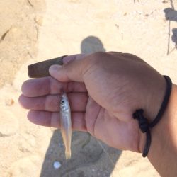 天気は良かったのですが強風で釣りづらかったです