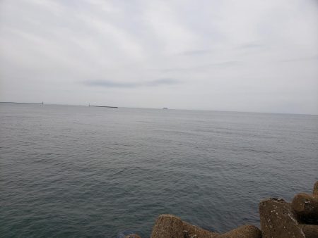 タケノコメバル