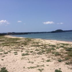 唐津のキス狙いでサーフへ行って来ました