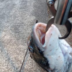 投稿するか迷いました