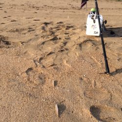 ささめ針さんの大会に参加してきました