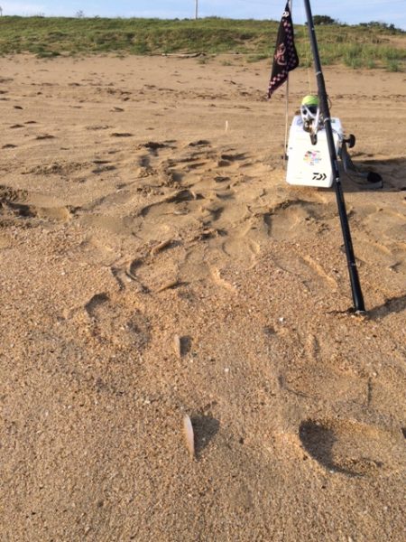 ささめ針さんの大会に参加してきました