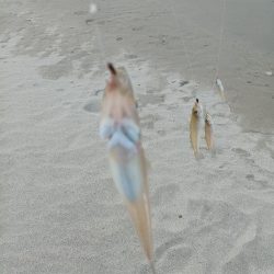 サーフはまずまず