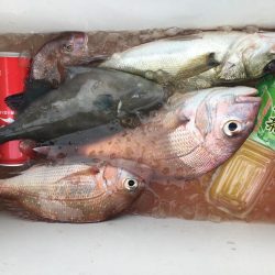 たかたかの釣り日記